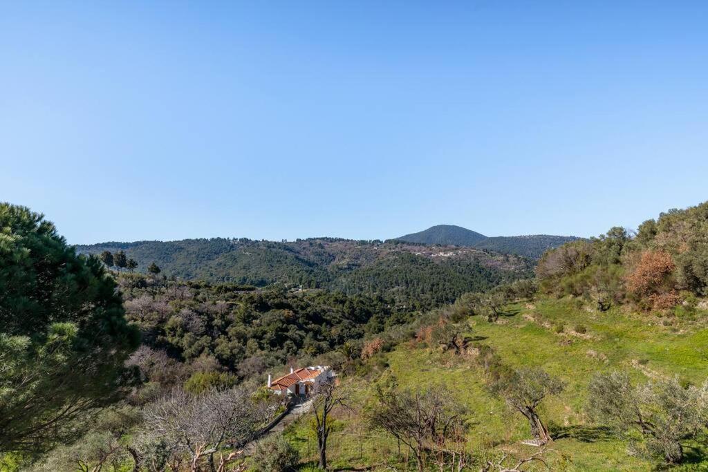 Villa Ambeli Skopelos Town Exterior foto