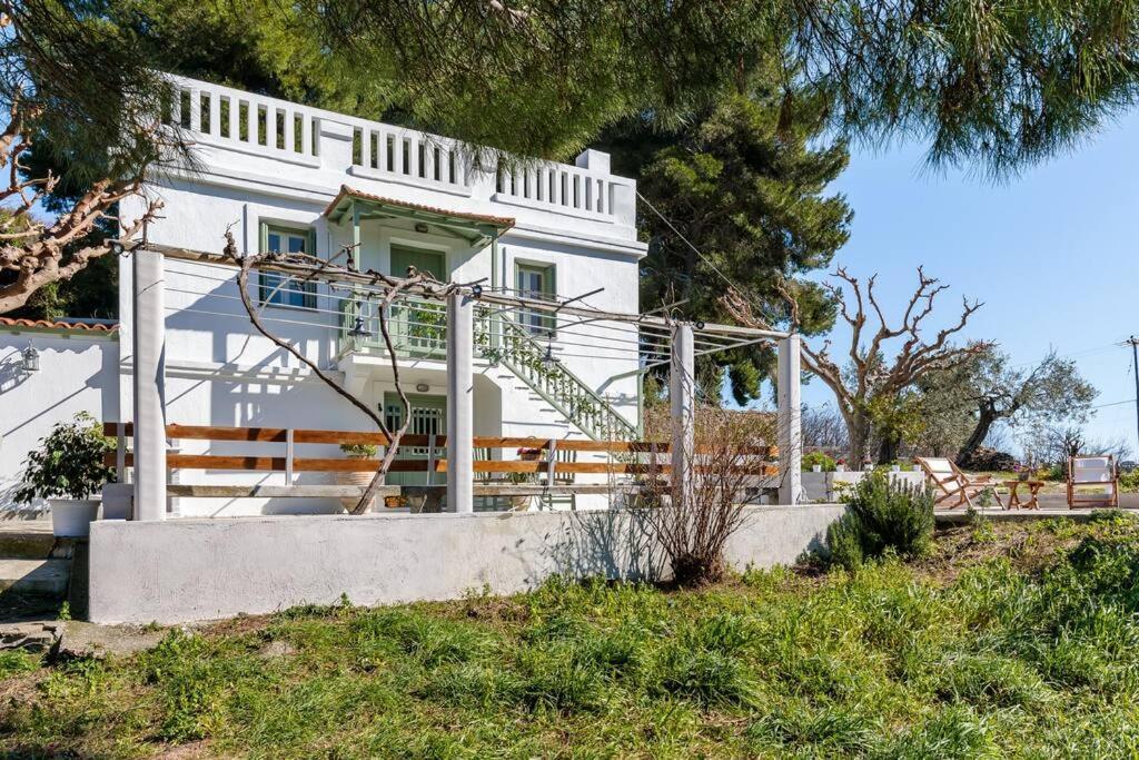 Villa Ambeli Skopelos Town Exterior foto