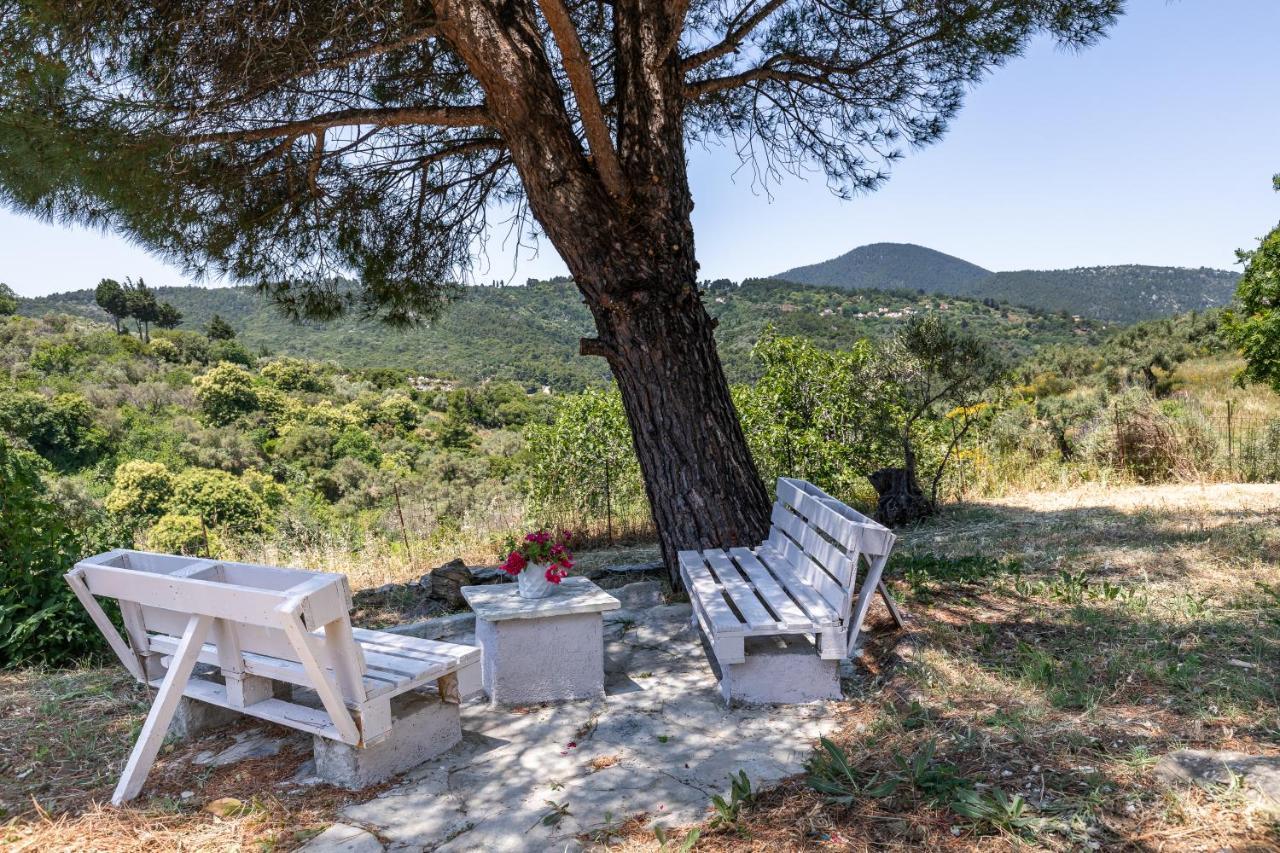 Villa Ambeli Skopelos Town Exterior foto