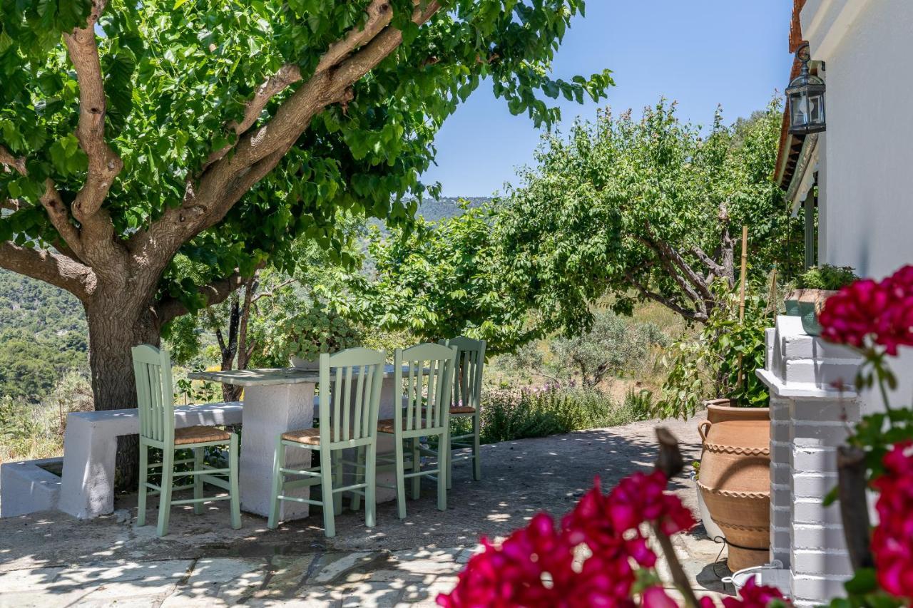 Villa Ambeli Skopelos Town Exterior foto